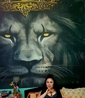 LINET (27) - Gödöllő - kép 1052023