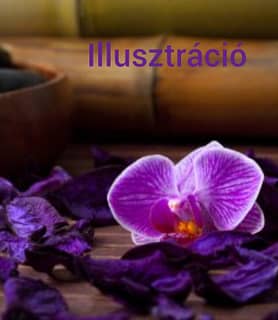 Vica (47) - Győr - kép 1020848