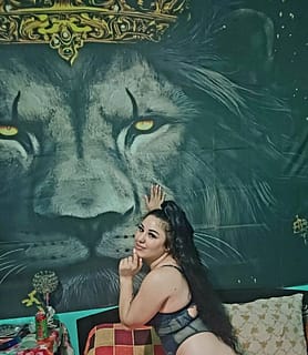 LINET (27) - Gödöllő - kép 1052031