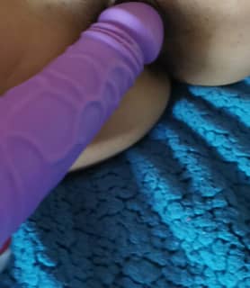 Maya cica (33) - Pécs - kép 1048960