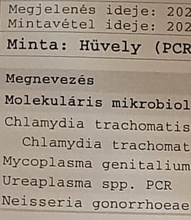 Vica (47) - Győr - kép 1039961