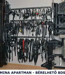 Hanna Bdsm (48) - Székesfehérvár - kép 1000178