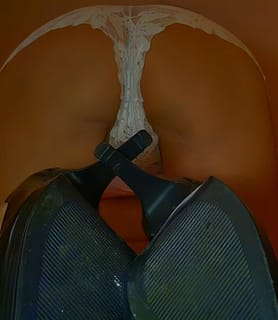 Suzy (48) - Győr - kép 1044875