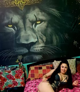 LINET (27) - Gödöllő - kép 1052036