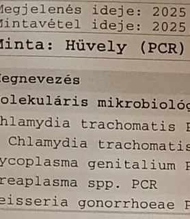Vica (46) - Győr - kép 1039961