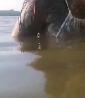 Stella (56) - Salgótarján