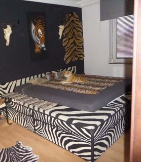 Night Club Flying Lady - Szombathely - kép 780529