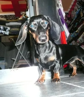 Káma Erotika Barlang - Debrecen - kép 18622