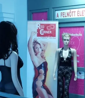 Intim Kuckó Szexshop - Kecskemét - kép 743401