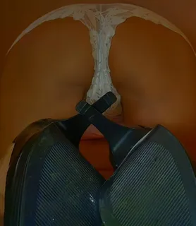 Suzy (48) - Győr - kép 1044875