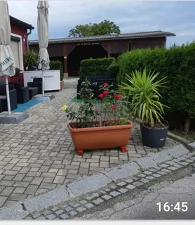 Flyinglady - Szombathely - kép 931266