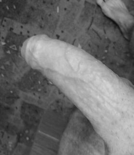 milfhunter (41) - Nagykanizsa - kép 917959
