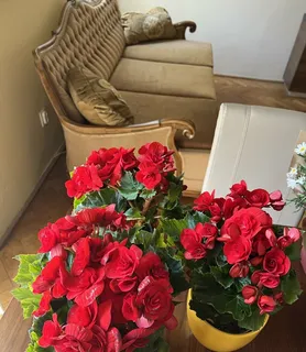 Exhibitionist Doll House - Budapest V. - kép 927865