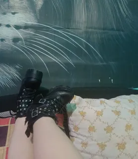 LINET (27) - Budakalász - kép 1052015