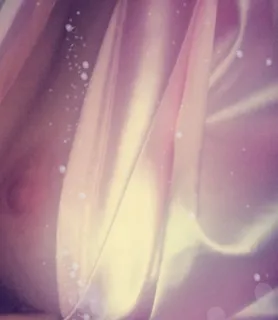 Ízisz masszázs (41) - Debrecen - kép 900522