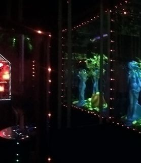 Senator Night Club - Debrecen - kép 495468