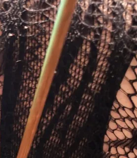 Heni (45) - Nyíregyháza - kép 1053229