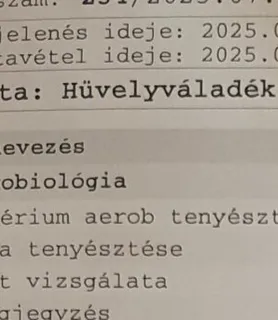 Vica (46) - Győr - kép 1039960