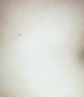 Zé (51) - Szombathely