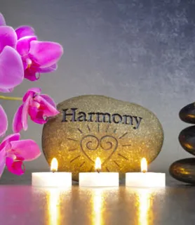 Vivi (44) - Szombathely - kép 448246