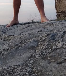 Oli (42) - Mosonmagyaróvár - kép 1013689