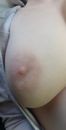 Barby (27) - Debrecen - photo 1059048