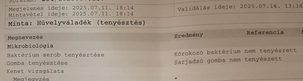 Vica (46) - Győr