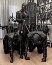 Hanna Bdsm (47) - Székesfehérvár
