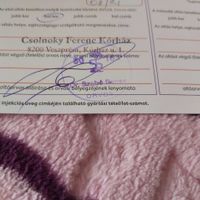 Lilla (55) - Veszprém - photo 856904