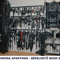 Hanna Bdsm (47) - Székesfehérvár