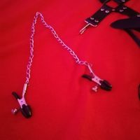 Trans Leona (34) - Budapest VI. - photo 815303