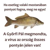 Lallli