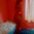 Evelin kis