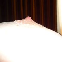 BBW Diamond (51) - Debrecen