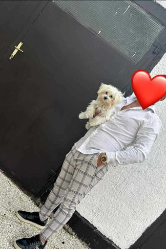 Szombathely, 23 éves escort, Mauro