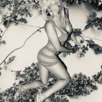 Stella (44) - Pécs - photo 841866