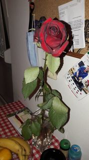 Annie és Rich (38) - Pécs