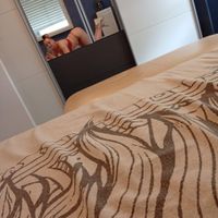 Lilli (25) - Nagykanizsa - photo 1045820