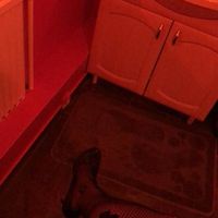 Carmen (22) - Debrecen - photo 1055155