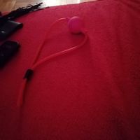 Trans Leona (34) - Budapest VI. - photo 815307