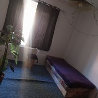 Sziszi (34) - Pécs - photo 1057975