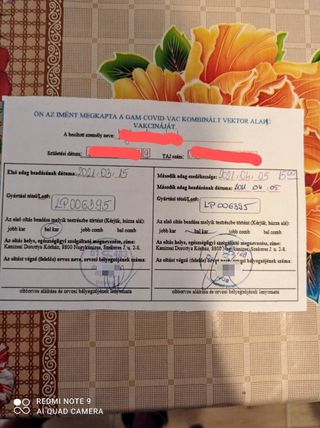 Laura Női szexpartner +36 30 876 3337 fénykép 6