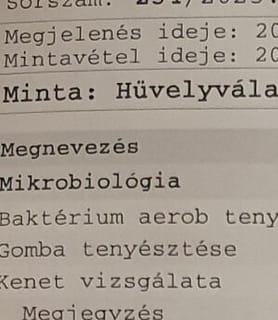 Vica (47) - Győr - kép 1039960