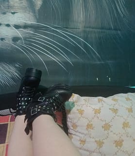 LINET (27) - Gödöllő - kép 1052015